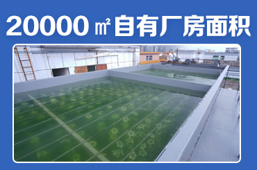 高效石油废水处理设备解决方案 - 百惠浦环保助力企业绿色生产